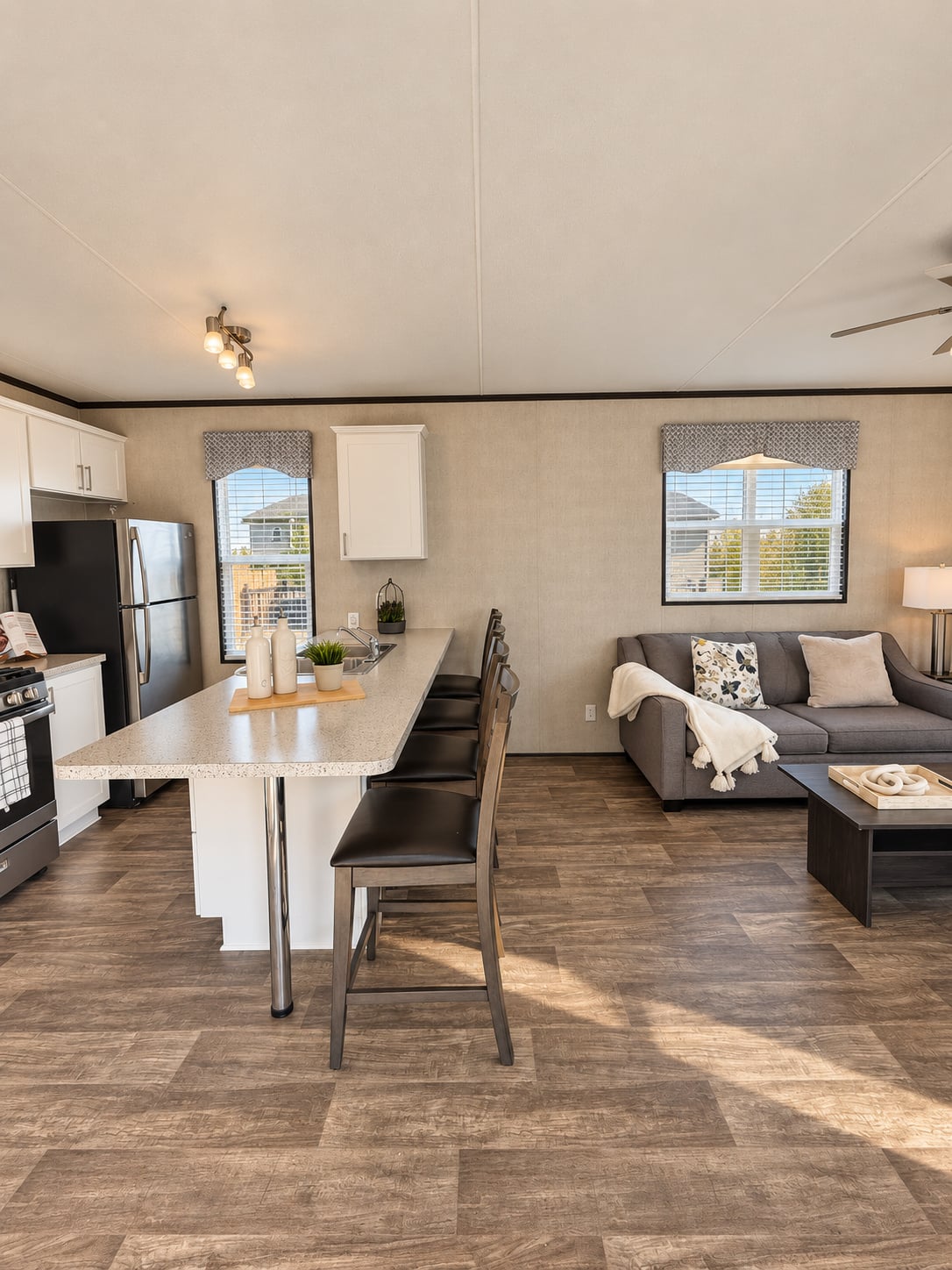 Lounge and kitchen, wide view