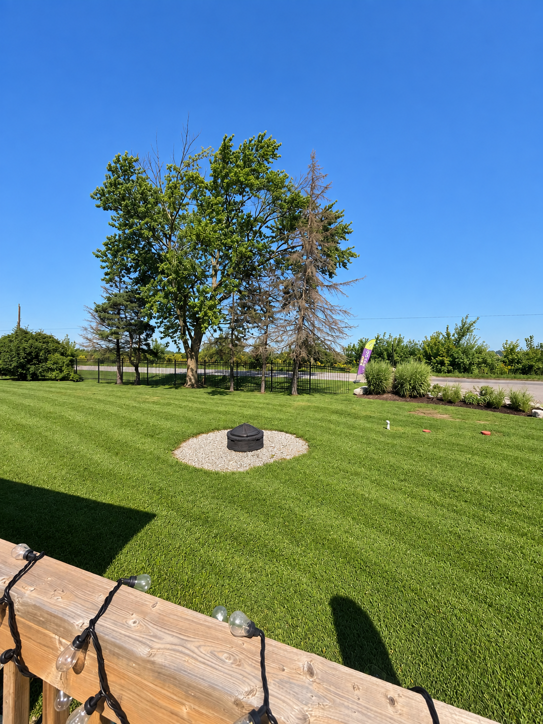 Lawn and fire pit