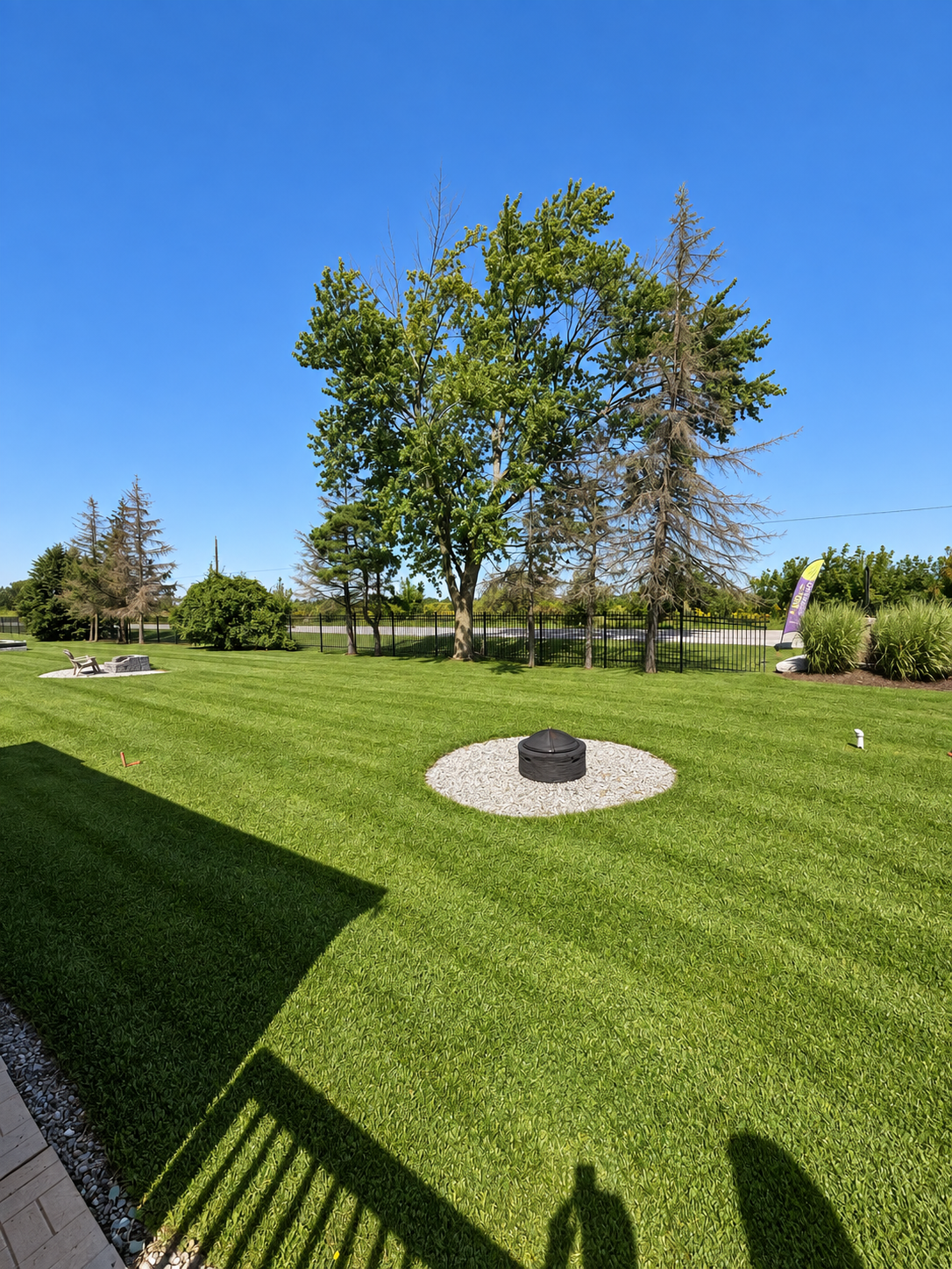 Lawn and fire pit, second view
